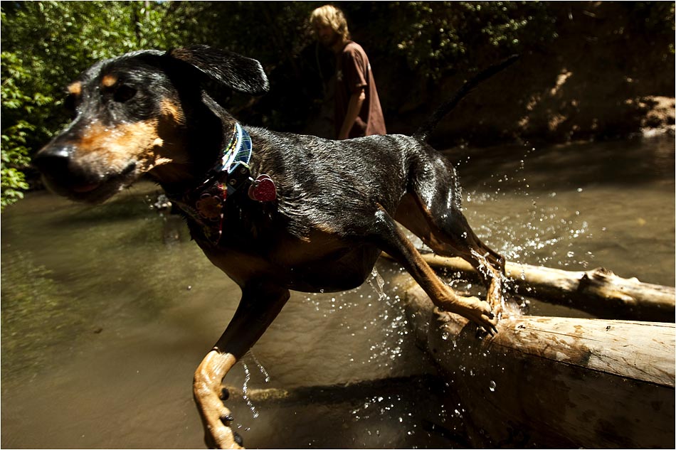 tanner dog park CD 1.jpg